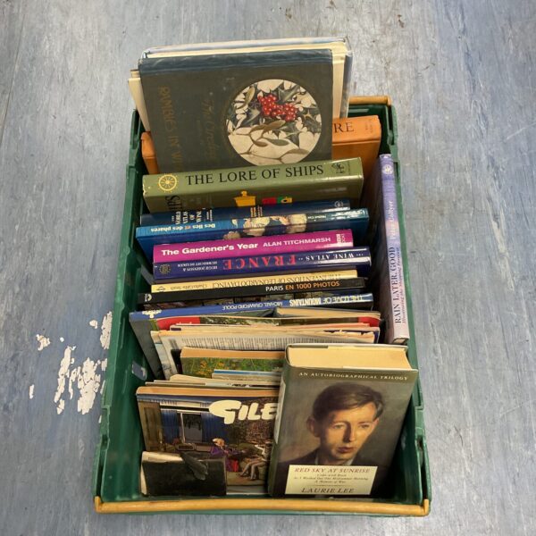 Mixed book lot featuring vintage paperbacks and collectible titles.