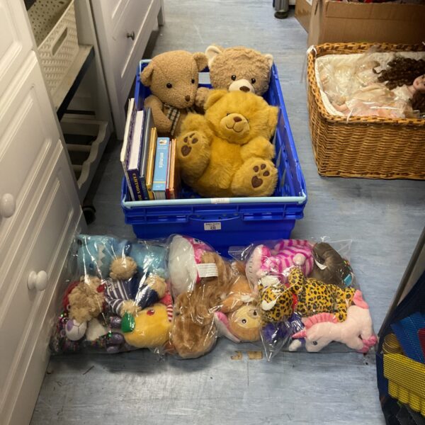 A tray of soft teddy bears and animal books for children.