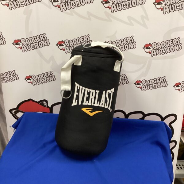 Small Everlast punch bag for boxing and fitness training.