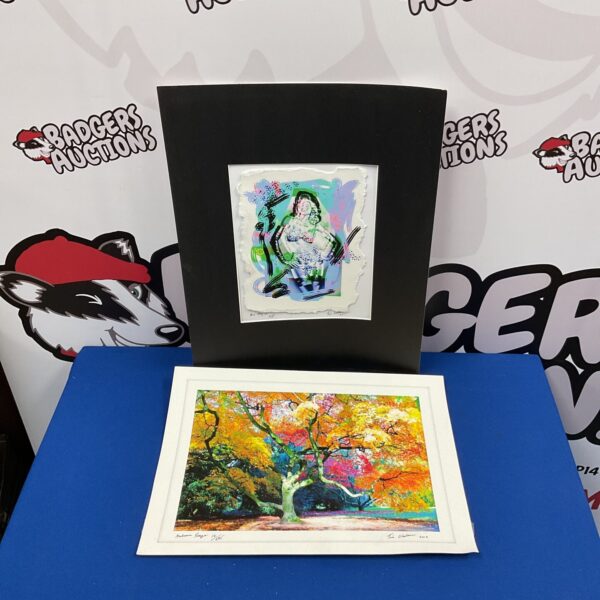 Vibrant Tim O'Heillwa psychedelic print titled "Autumn Breeze".