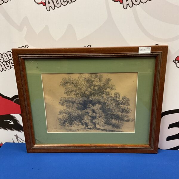 Antique oak tree sketch in a vintage frame, detailed botanical drawing.
