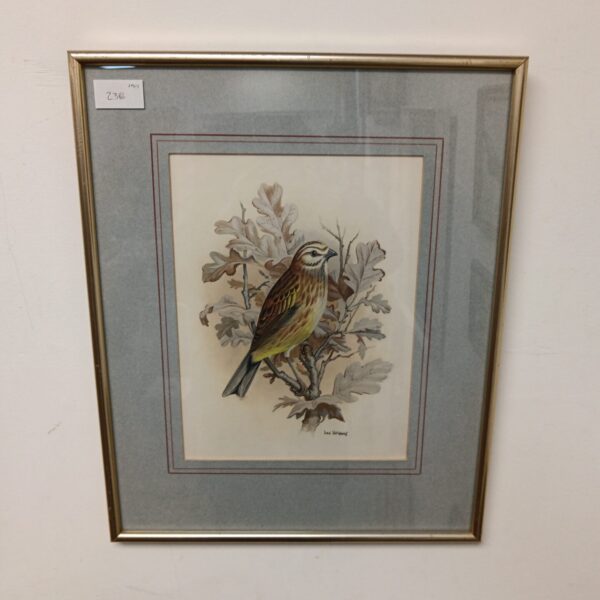 Don Vaughan watercolour painting of a yellow bunting bird.
