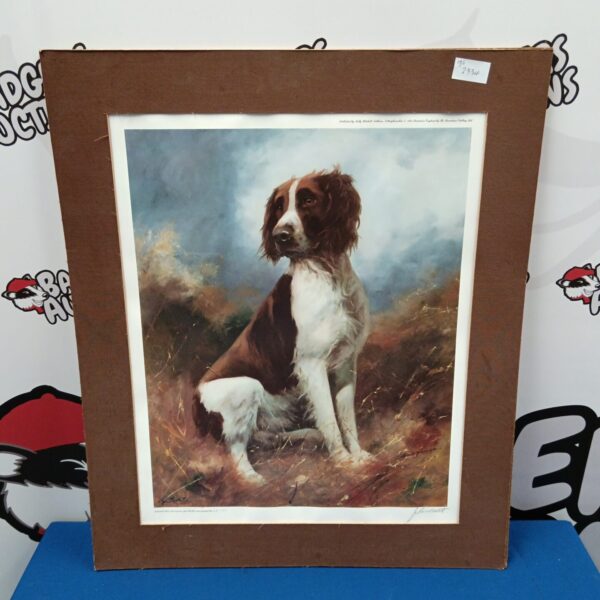 John Trickett limited edition print of a Springer Spaniel dog.