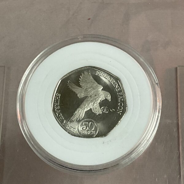 Front view of the 2023 peregrine falcon 50p coin in capsule.
