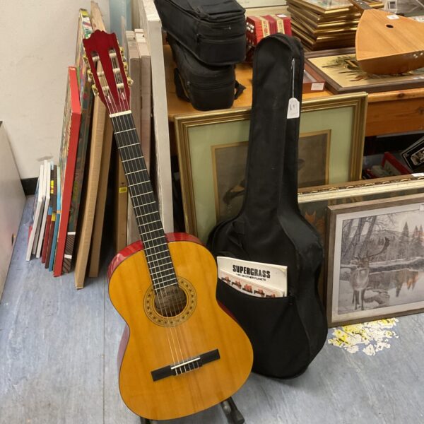 Vintage Encore acoustic guitar with black carrying case.