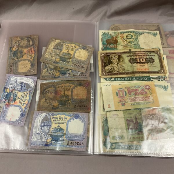 Assorted foreign banknotes in a protective album.