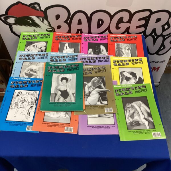 Quantity of fighting gals magazines