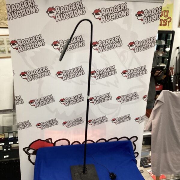 Modern Aglaia led floor lamp with adjustable head.
