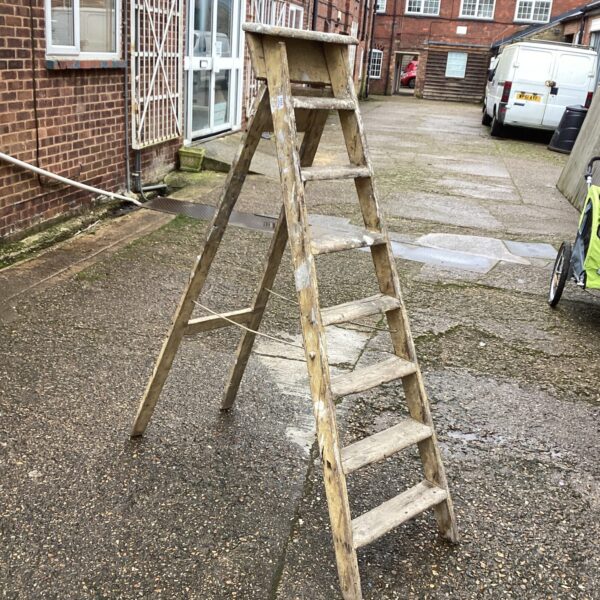 Vintage wooden step ladder in a garden setting.