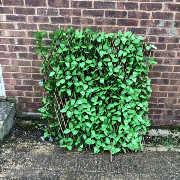 Artificial hedge with lights in a garden setting.