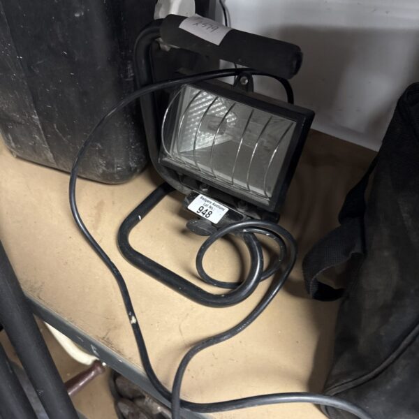 Portable halogen site light for construction and repair work.