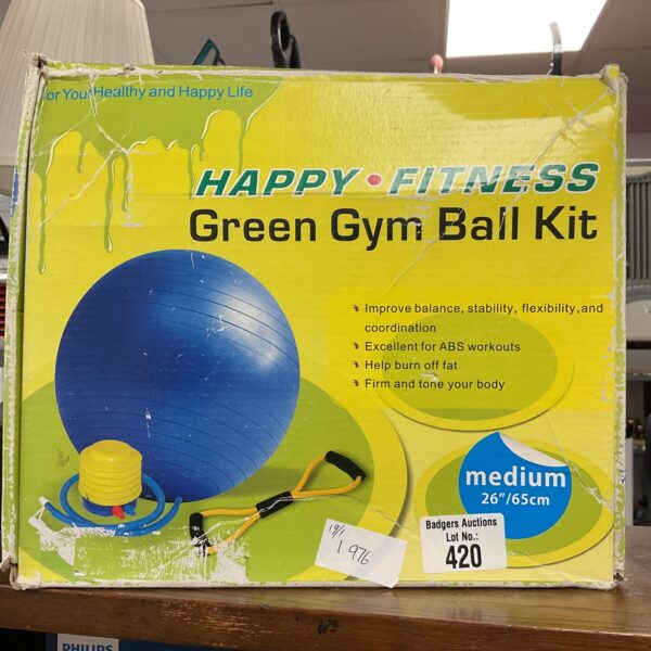 Happy Fitness Gym Ball Kit with pump for home workouts.