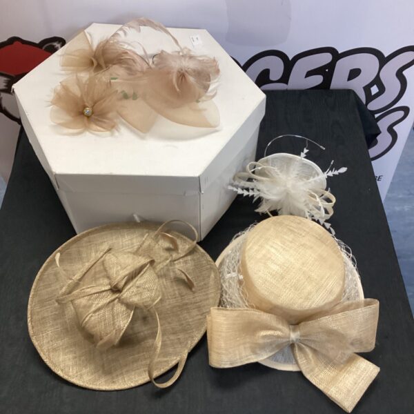 Collection of ladies fascinator hats for special occasions.