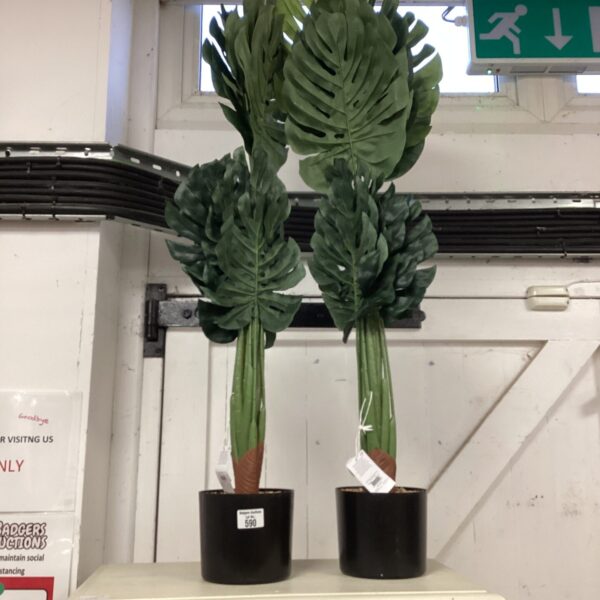 Pair of large artificial cheese plants in black pots.