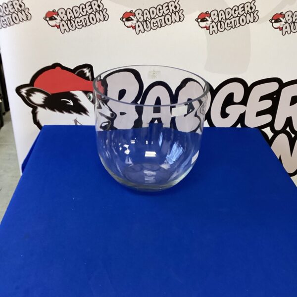 Clear large glass bowl for serving or display.