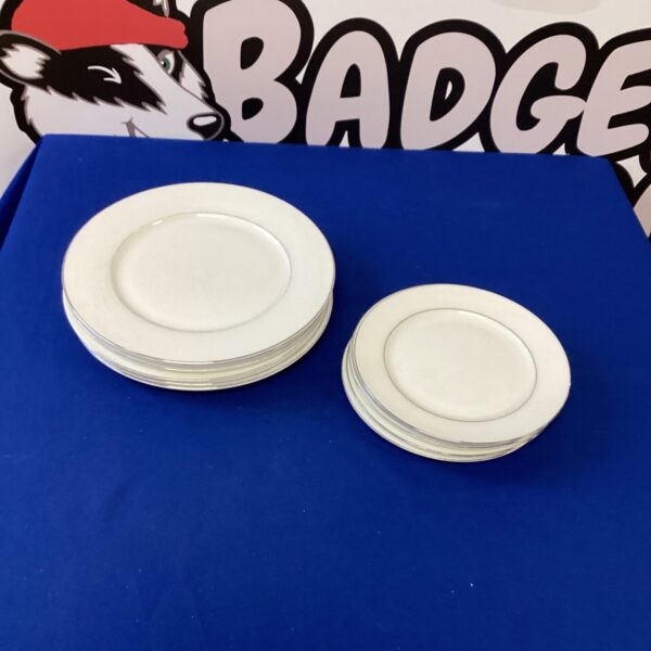 Set of eleven vintage Darlington bone china plates displayed.