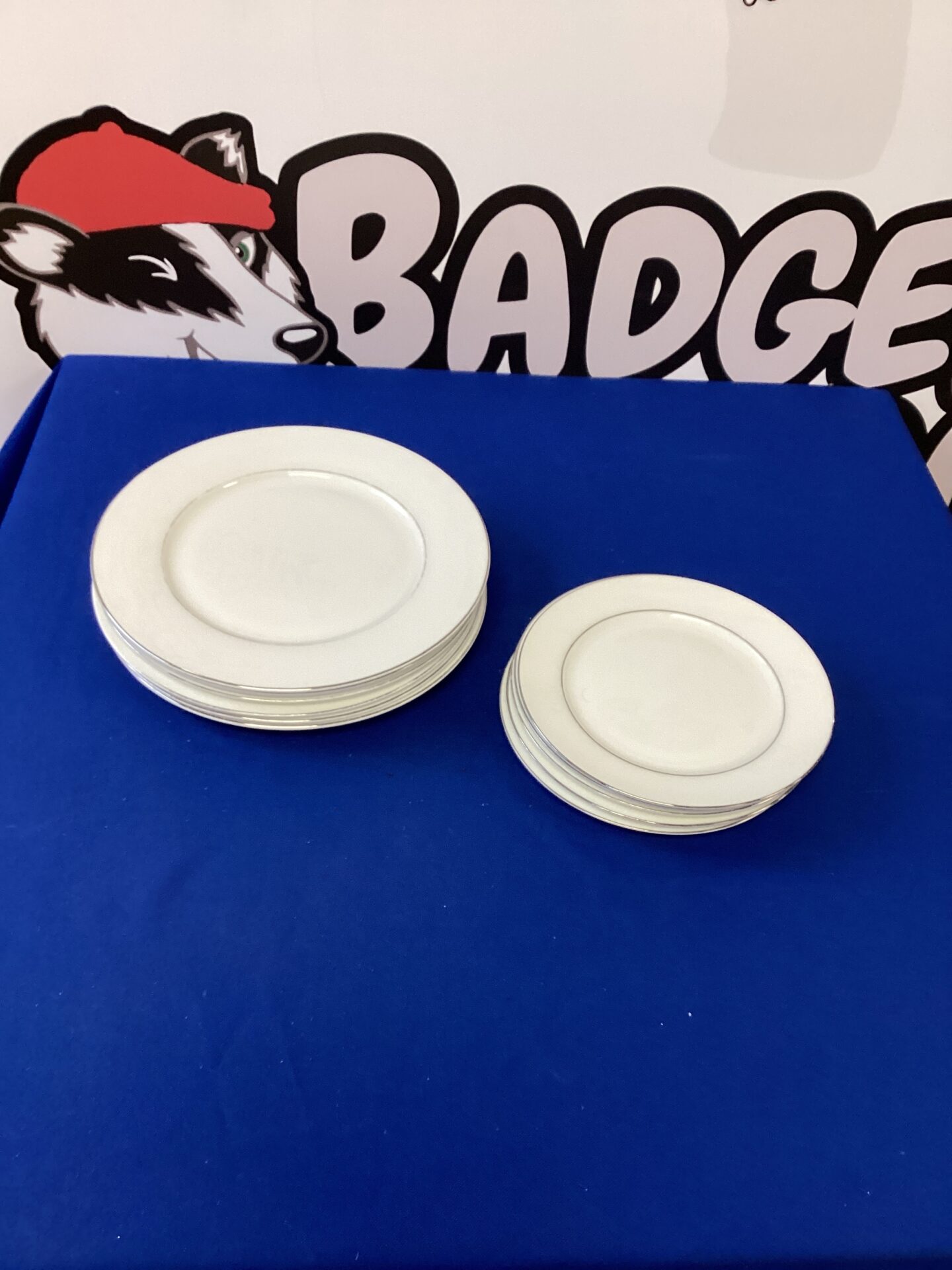 310 11 x Darlington fine bone china plates
