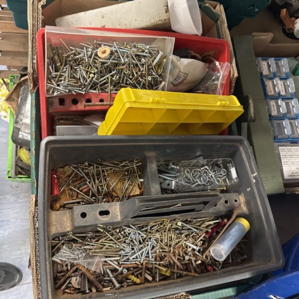 Mixed screw lot with various sizes and types of fasteners.