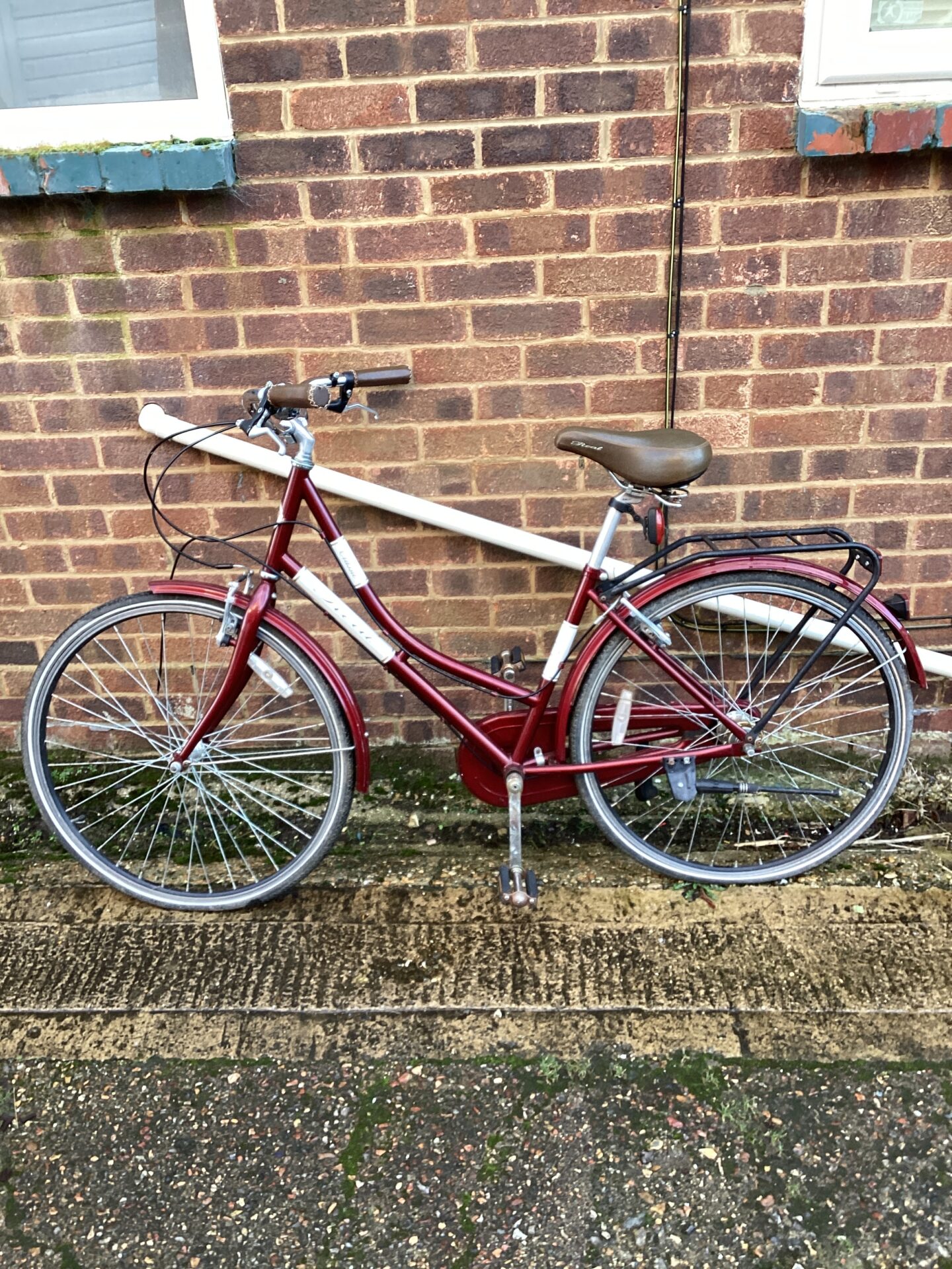 1187 Real adult push bike