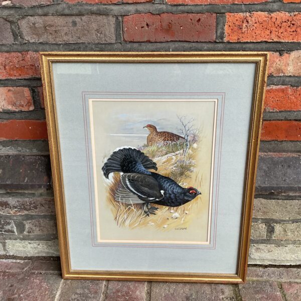 Don Vaughan watercolour painting of a pair of grouse.