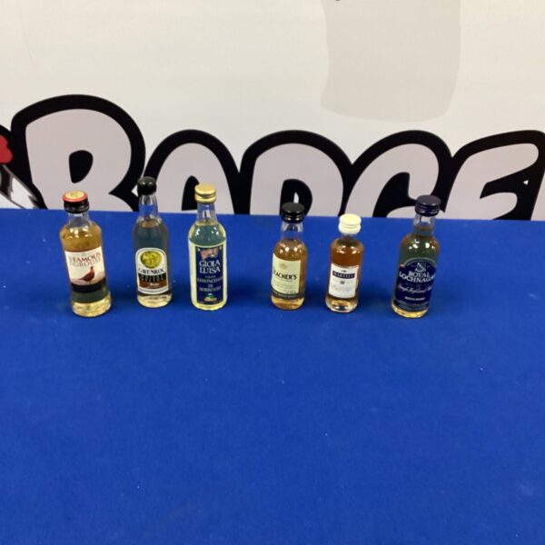 Lot of six miniature spirit bottles, assorted brands, collectible display.