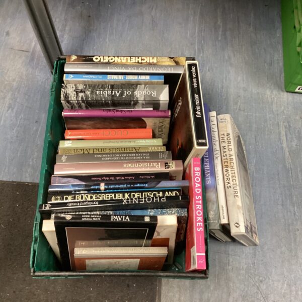 Lot of art and photography books including Gucci and Michelangelo.