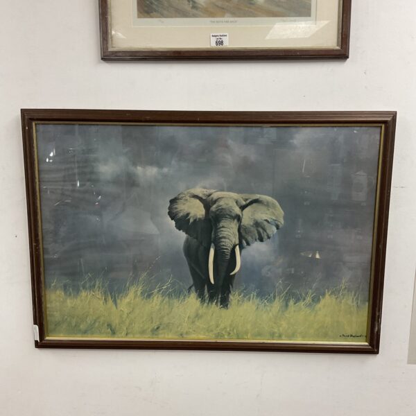 Large David Shepherd print of an African elephant in a natural setting.