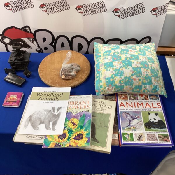 Mixed lot of vintage books and collectibles including coins and cushion.