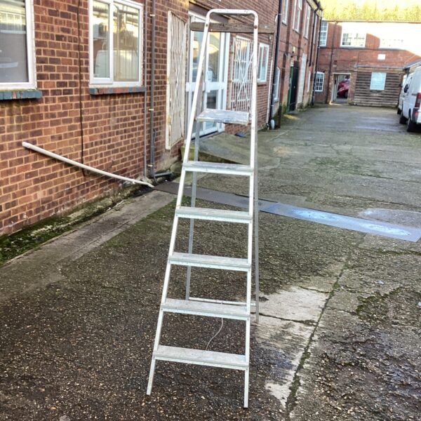Aluminium step ladder leaning against a brick wall in a garden.