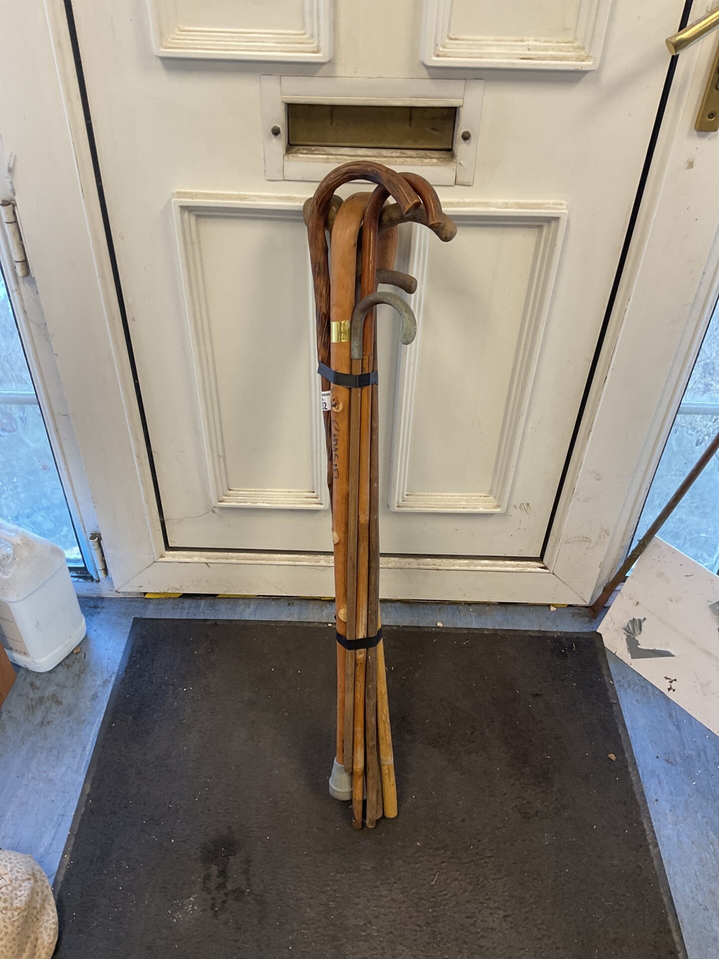 752 Six Walking sticks