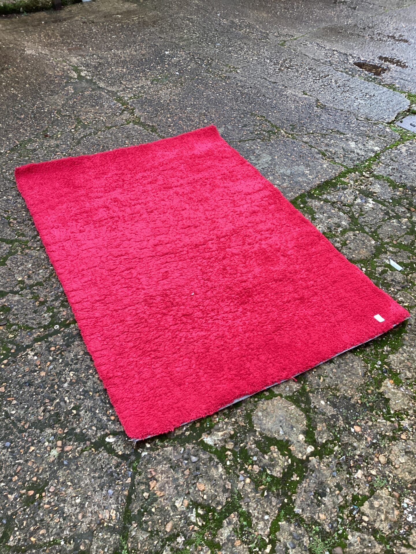 616 Red shag pile rug