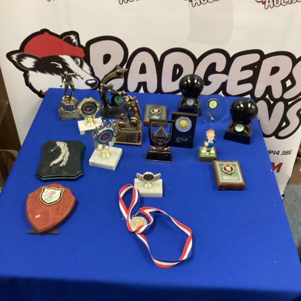 Collection of vintage sporting trophies and medals on display.