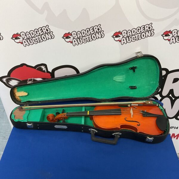 Skylark 3/4 violin in case with bow, musical instrument.