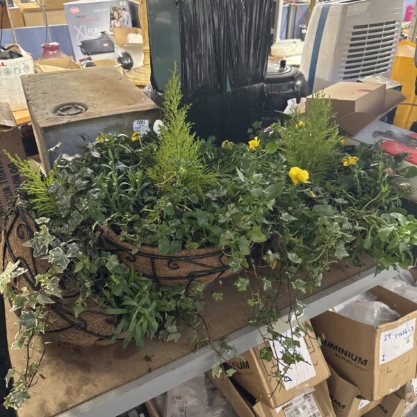 Trio of hanging baskets with vibrant plants for garden display.
