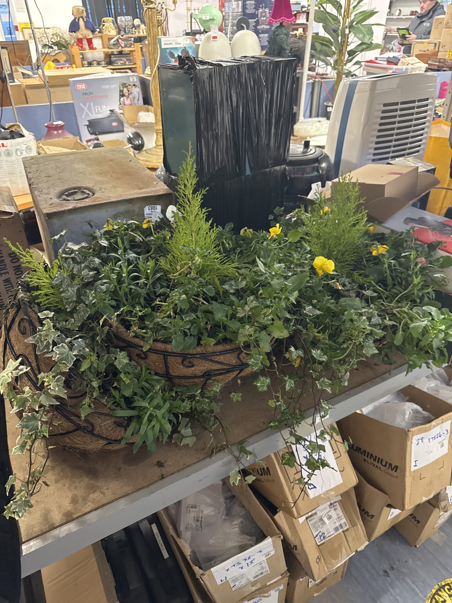 1073 Three wire frame hanging baskets – come with free plants!