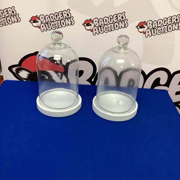 Two clear glass display domes on wooden bases.