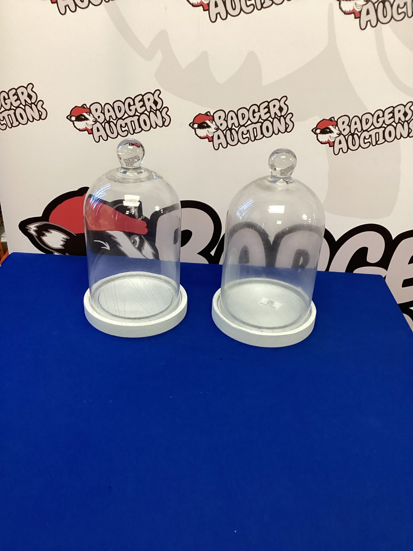 303 Two Glass Display Domes with bases