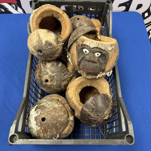 Vintage tiki bar coconut heads in a box.