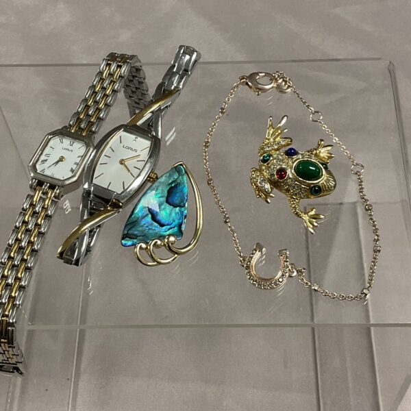 Lorus watches and jewellery lot including a frog brooch.