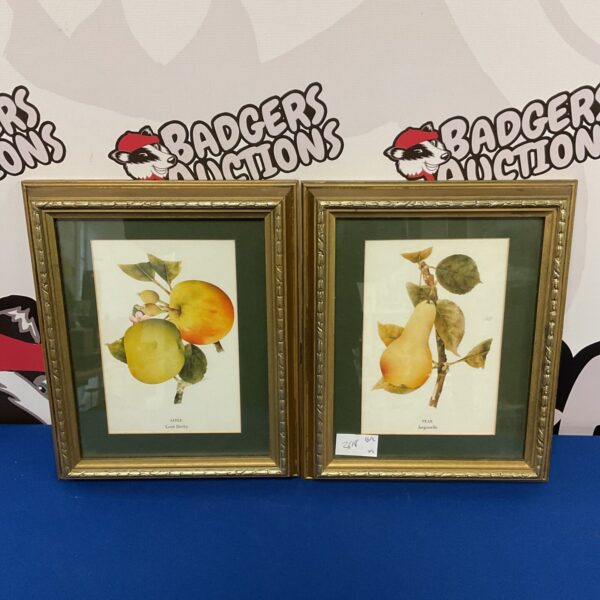 Pair of vintage fruit still life prints in gilt frames.