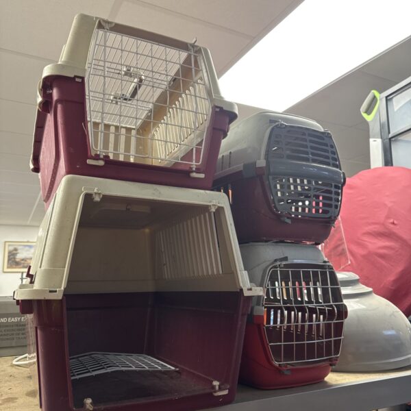 Stack of four plastic pet transport cases for small animals.