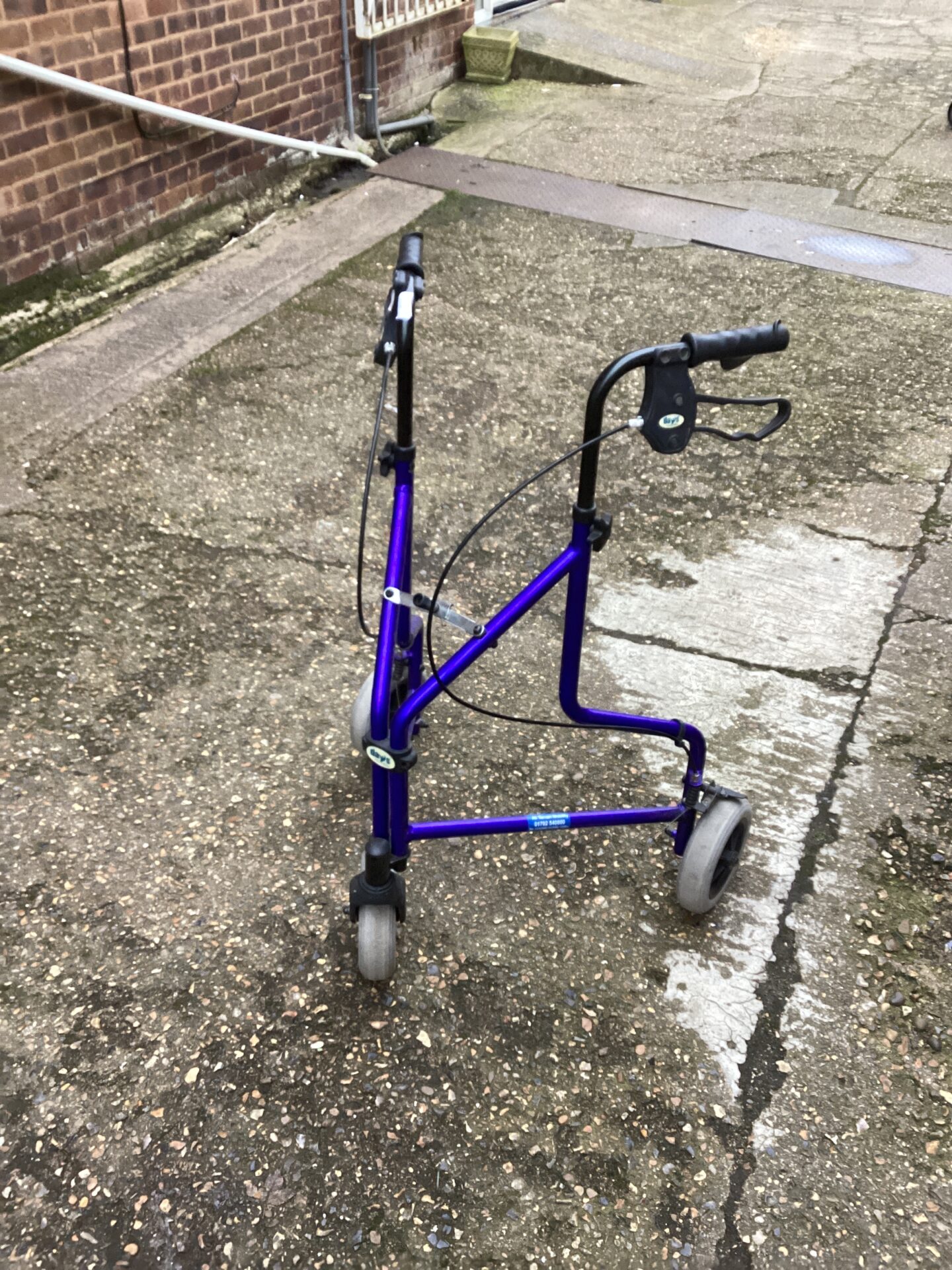 1187 Days walking assistance Trolley