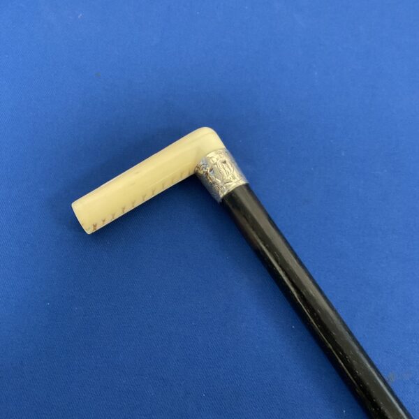 Vintage walking cane with a natural bone handle and silver cuff.