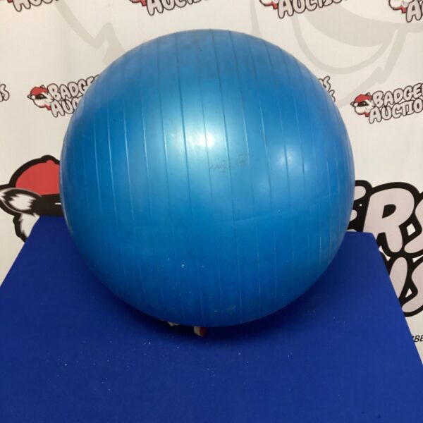 Blue exercise ball for fitness and yoga routines.