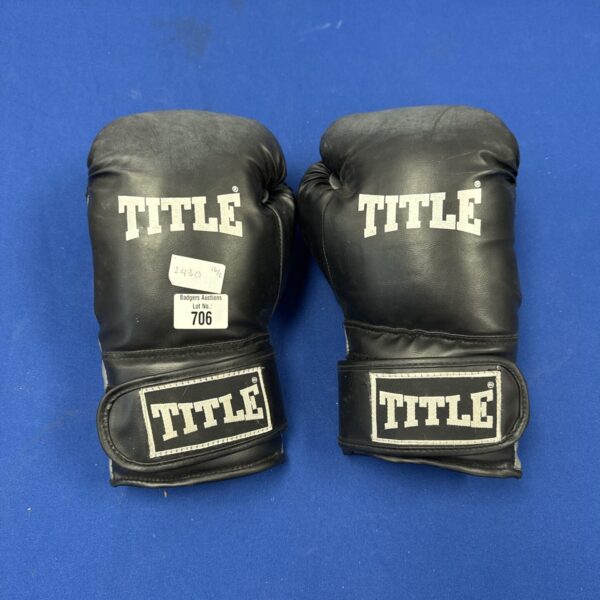 Pair of used Title boxing gloves for training.