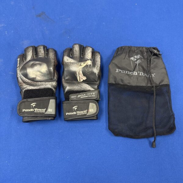 Punchtown Boa-Tite 4oz martial arts gloves for training.