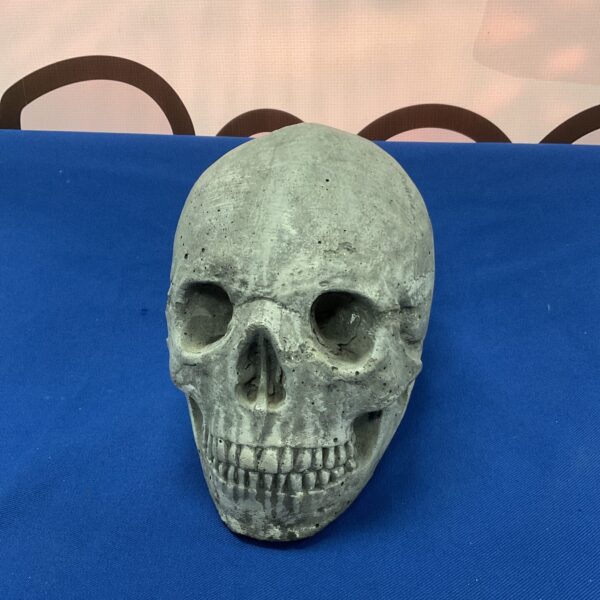 Detailed reconstituted stone skull for gothic garden decor.