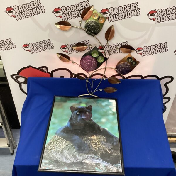 Detailed owl garden wall ornament with a puma picture.