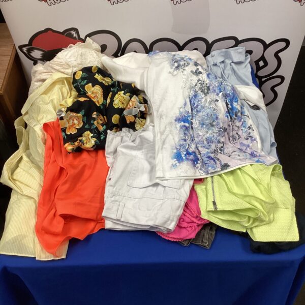 Women's clothing bundle with River Island and Next items.