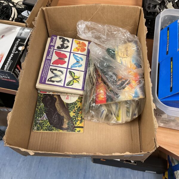 Vintage wildlife card and book lot for animal identification.